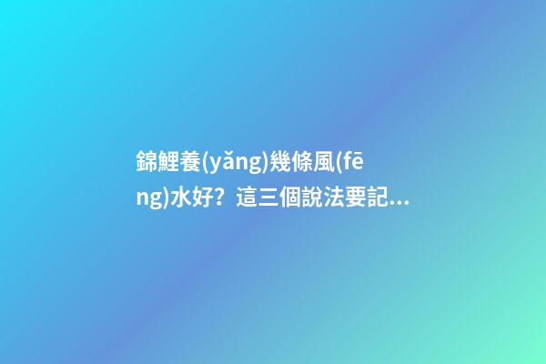 錦鯉養(yǎng)幾條風(fēng)水好？這三個說法要記好了！